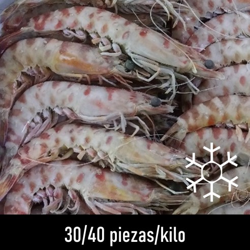 Langostino Tigre 30/40 HUELVA