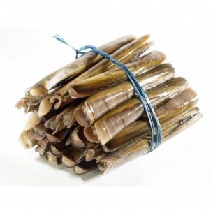 Navaja Gallega Grande