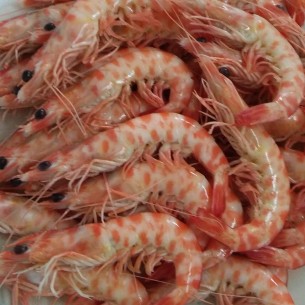 Langostino Tigre 20/30 HUELVA 2
