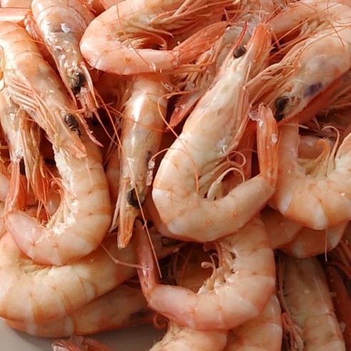 Gamba Blanca ESPECIAL  HUELVA