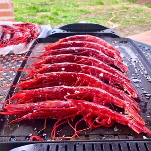 Carabinero Congelado a... 2